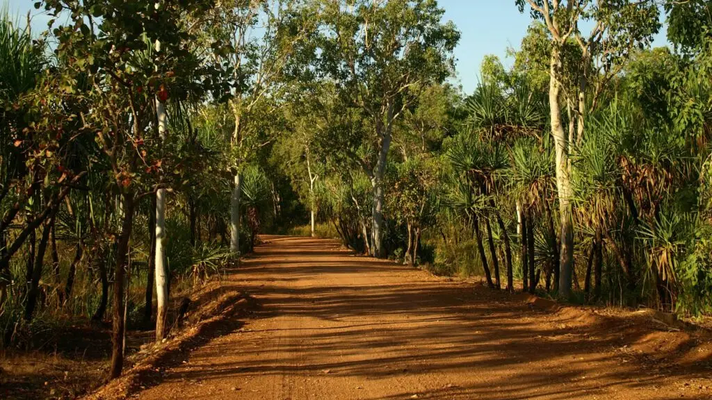 After the federal election - where to from here? - AEU NT